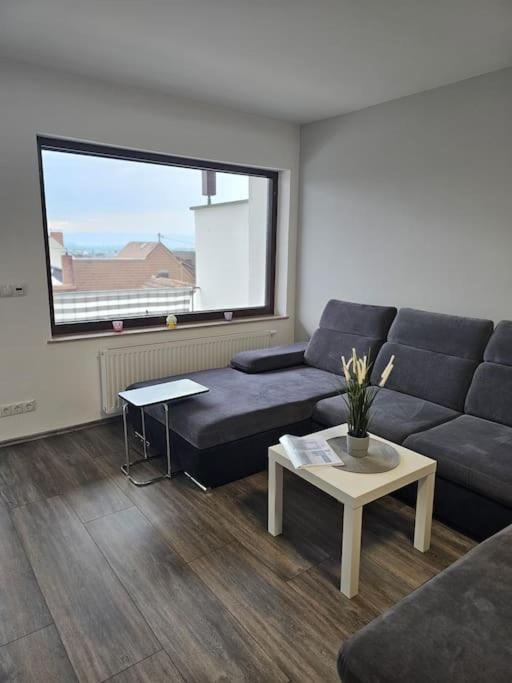 Gemuetliche Ferienwohnung Mülheim-Kärlich Exterior foto